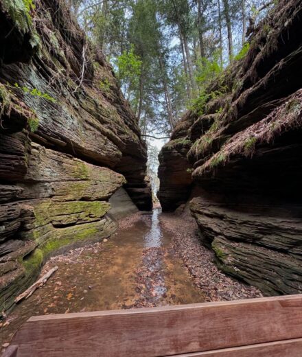 10 Hiking Trails Worth Every Step in Wisconsin