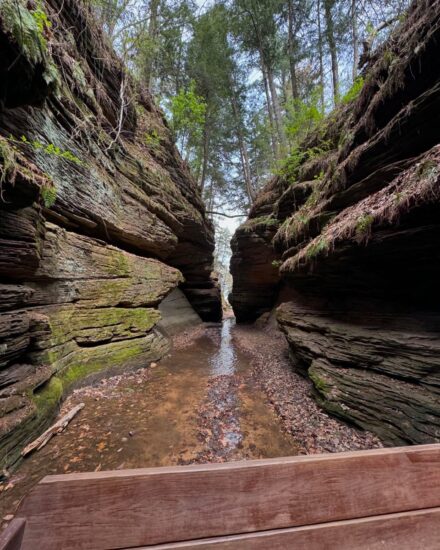 10 Hiking Trails Worth Every Step in Wisconsin