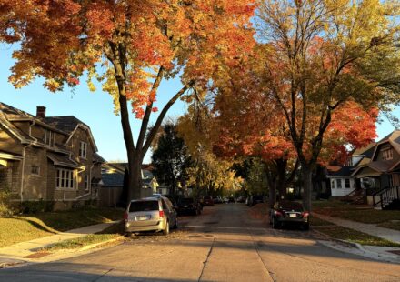 Best Fall Foliage Drives in Wisconsin (With Exact Routes)