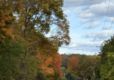 Best Fall Color Routes in Wisconsin for a Scenic Drive